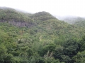 DSC06910