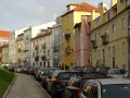DSC05781