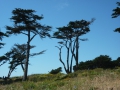 San Francisco 198.JPG