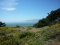 San Francisco 199.JPG