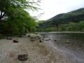 DSC04205